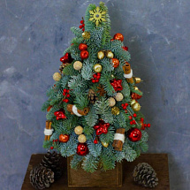 Ель из нобилиса Red Star