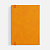 Ежедневник Urban Metal, недатированный, оранжевый - миниатюра - рис 3.